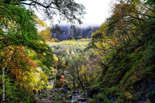 Obraz na płótnie 霧がかかる秋の谷と紅葉風景 w salonie