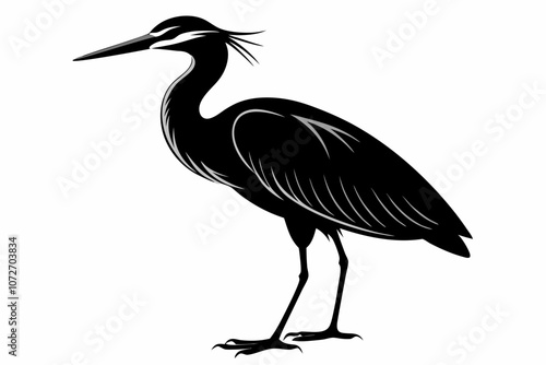 American Bittern transparent icon  Icon  Anime ,Bittern vector art and illustration ,Bittern Bird Vector Silhouette Illustration.