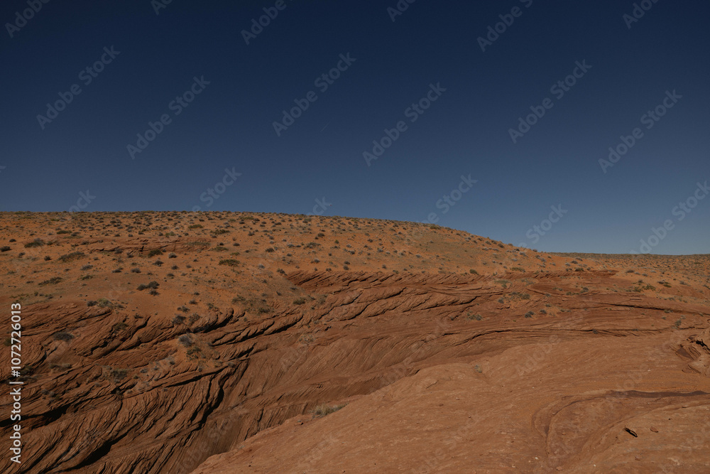 Naklejka premium Arizona Desert