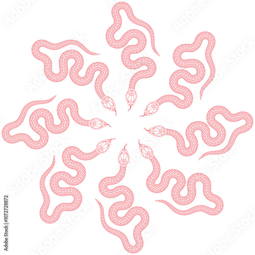 Red snake monogram on white background