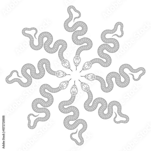 Black snake monogram on white background