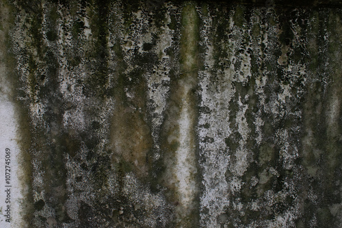 Photos Old moldy cement wall in the background