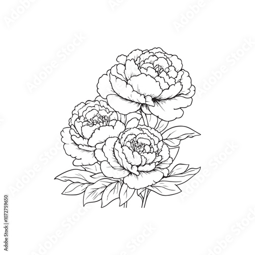 hand drawn flowers