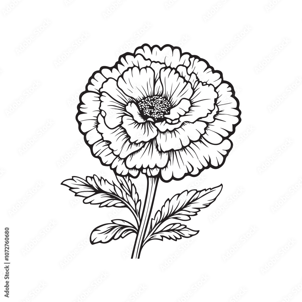 hand drawn flowers hand drawn flowers