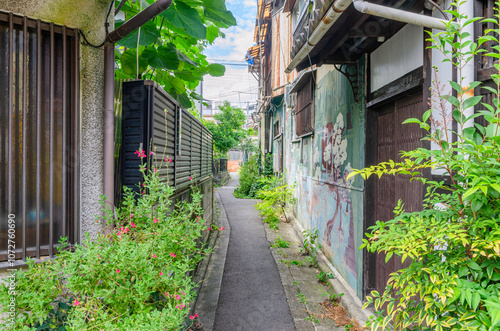 Obraz na płótnie 住宅街の通り w salonie