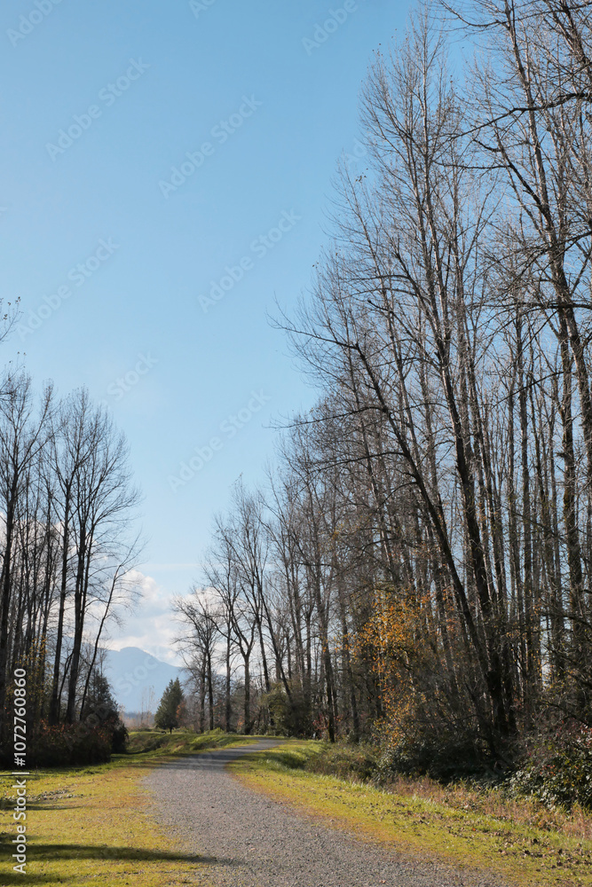 Island 22 Regional Park along Fraser River during a fall season in Chilliwack, British Columbia, Canada Island 22 Regional Park along Fraser River during a fall season in Chilliwack, British Columbia, Canada