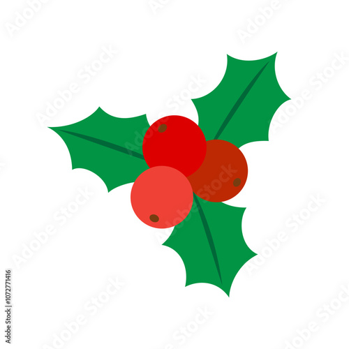 Christmas holly berry isolated on white background.