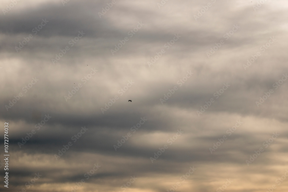 Cloudy sky. Storm clouds. Background Cloudy sky. Storm clouds. Background