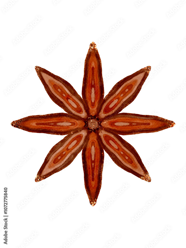 This is a Beautiful StarShaped Natural Design featuring lovely Earthy Tones and colors This is a Beautiful StarShaped Natural Design featuring lovely Earthy Tones and colors