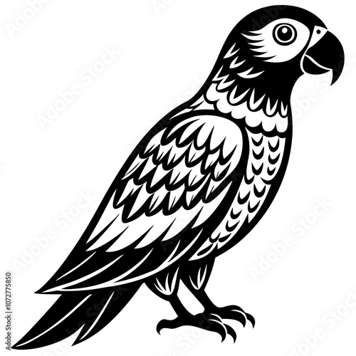 love bird vector artwork and illustration