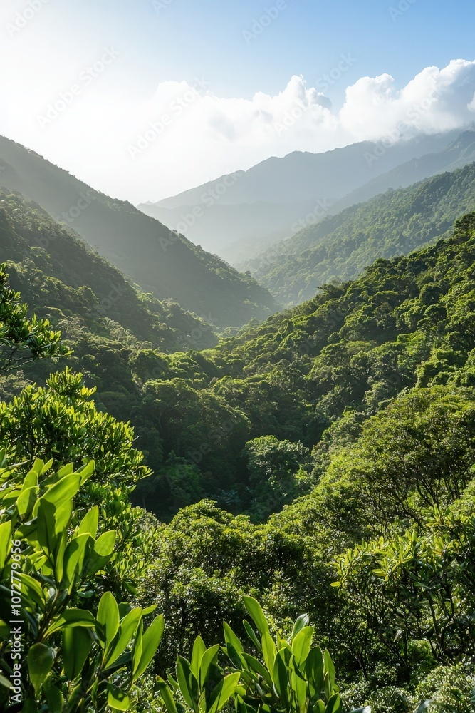 Fototapeta premium Lush Green Mountain Valley.