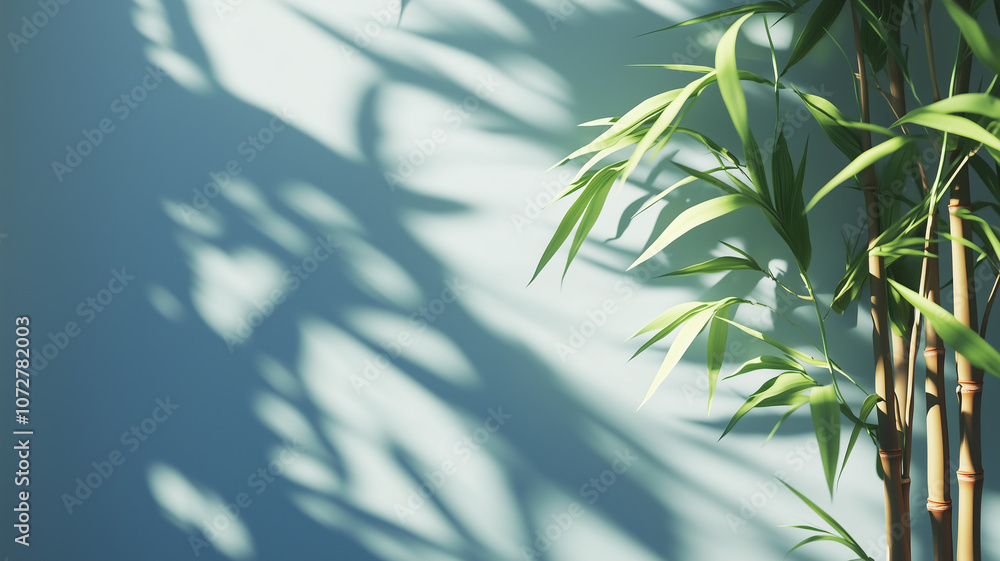 bamboo forest background bamboo forest background
