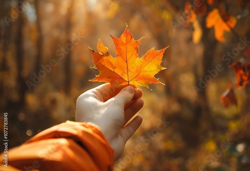 Holding a leaf in hand,dry beautiful surroundings photo