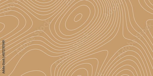 Abstract topographic contours map and landscape terrain texture grid background, vector geographic white wave paper curved reliefs abstract color background vintage outdoors style.