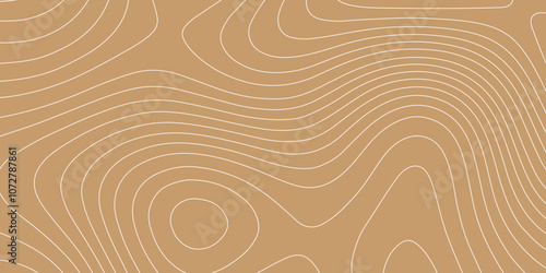 Abstract topographic contours map and landscape terrain texture grid background, vector geographic white wave paper curved reliefs abstract color background vintage outdoors style.