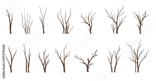 Set of branch tree or naked trees silhouettes. dried decorative
