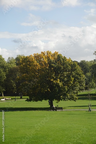 A Day in the Park: Warm Sunshine and Green Surroundings