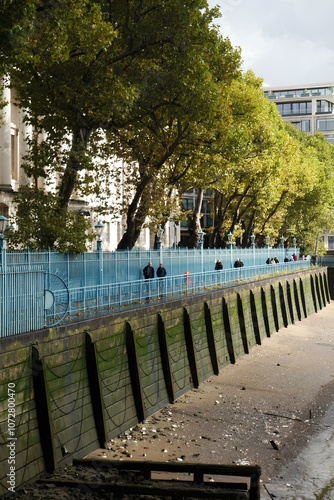 A Day in the Park: Warm Sunshine and Green Surroundings