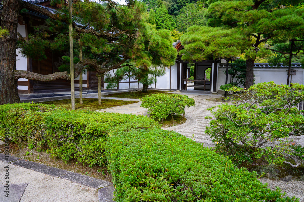 Fototapeta premium Japanese Garden in Fall 2024
