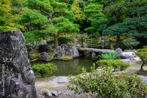 Japanese Garden in Fall 2024