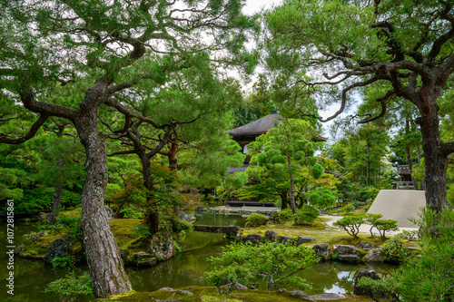 Japanese Garden in Fall 2024