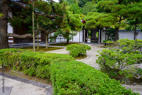 Japanese Garden in Fall 2024