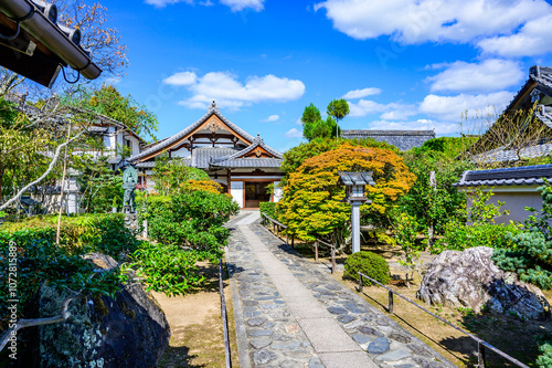 Japanese Garden in Fall 2024
