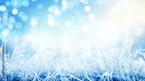 Frosty Grass Blades Against a Defocused Blue and White Background