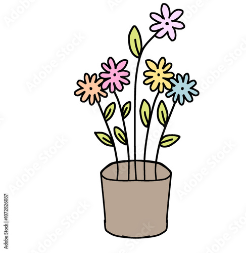 flowers in a pot