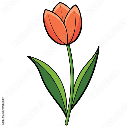 Beautiful tulip flower drawing art cartoon vector symbol design