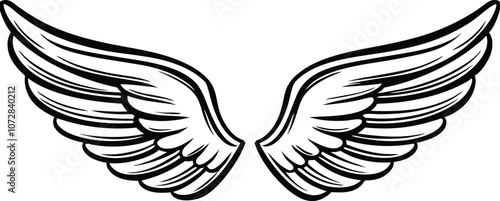 wing silhouette, bird wings , wing vector for logo design, tattoos