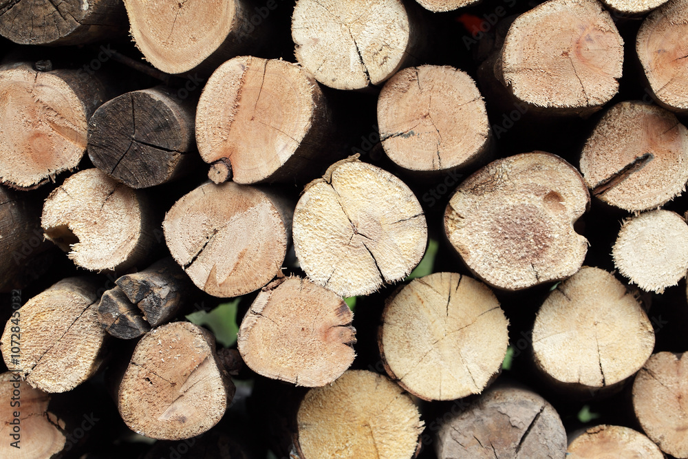Close-Up View of Cut Logs Stacked Neatly, Displaying Natural Wood Textures and Patterns, Perfect for Backgrounds, Rustic Themes, or Environmental Projects Close-Up View of Cut Logs Stacked Neatly, Displaying Natural Wood Textures and Patterns, Perfect for Backgrounds, Rustic Themes, or Environmental Projects