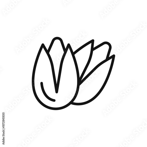 pistachio icon vector line logo art