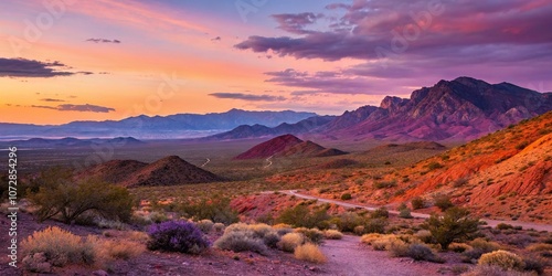 Colorful Desert Landscape with Gradient Sky, cacti, rocks