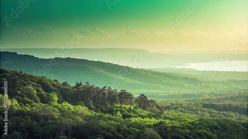 Gradient of light green to dark green background, mossy tones, soothing colors, natural atmosphere, soft focus