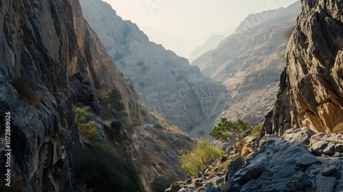 A narrow, rugged canyon with rocky walls and sparse vegetation.