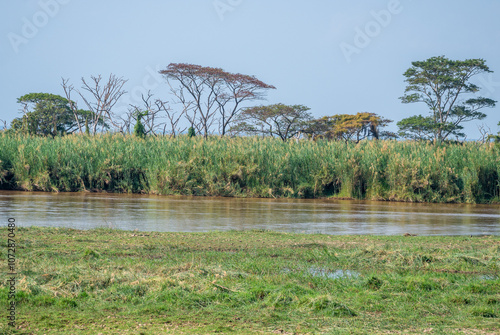 Nature of East Africa, Ryuziz National Park, Burundi