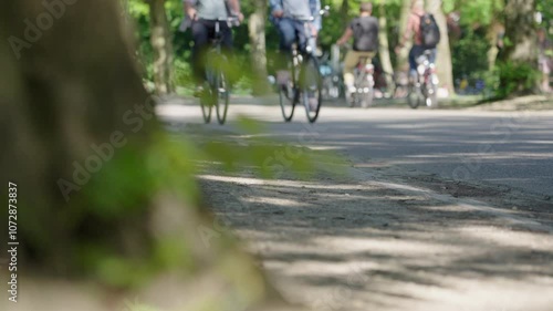 Wallpaper Mural Cyclists enjoy a peaceful ride along the park road amidst lush greenery Torontodigital.ca