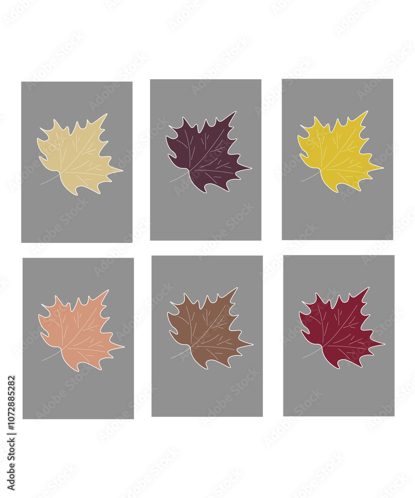 maple leaf on a white background maple leaf on a white background