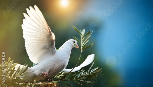 White dove with an olive branch, symbolizing peace