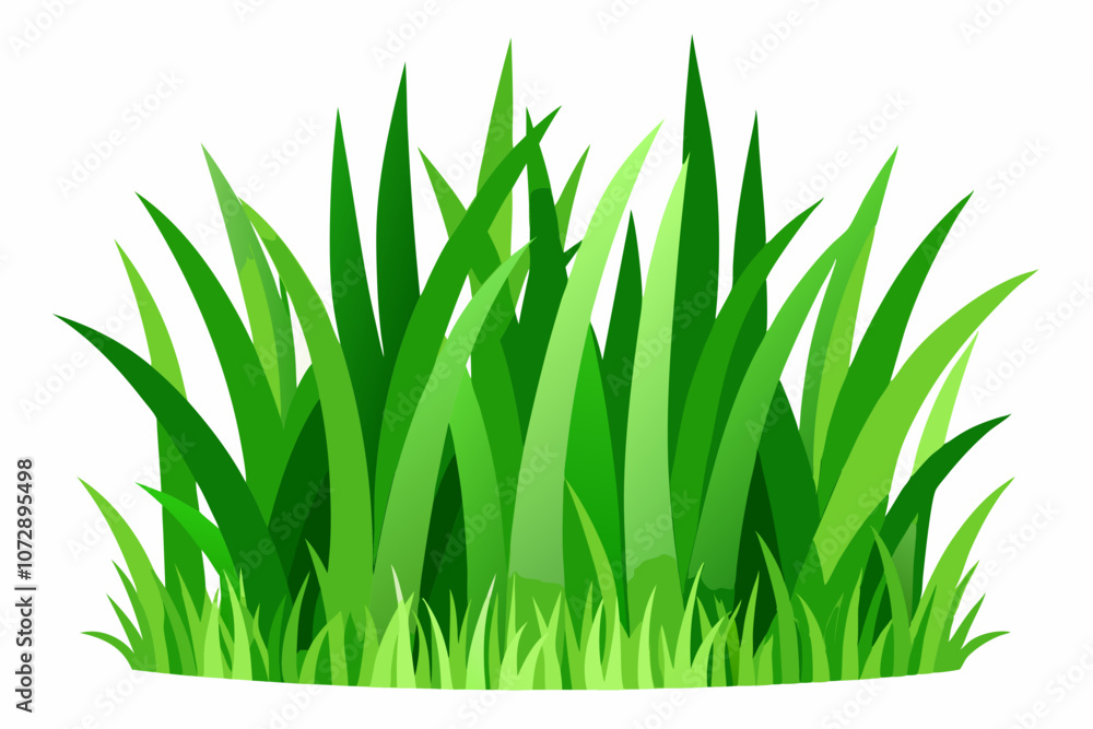Green grass isolated on white background Green grass isolated on white background