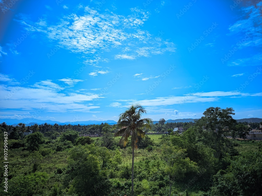 Obraz premium landscape with blue sky