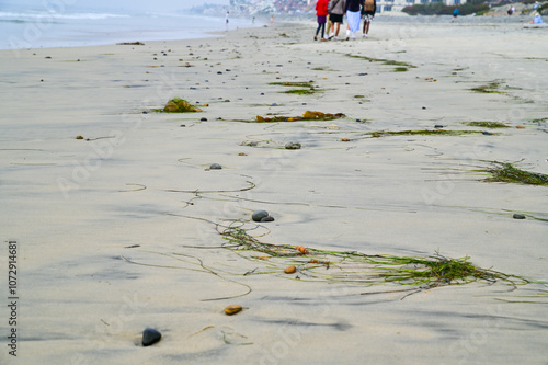 Candid Lifestyle Beach Scenes