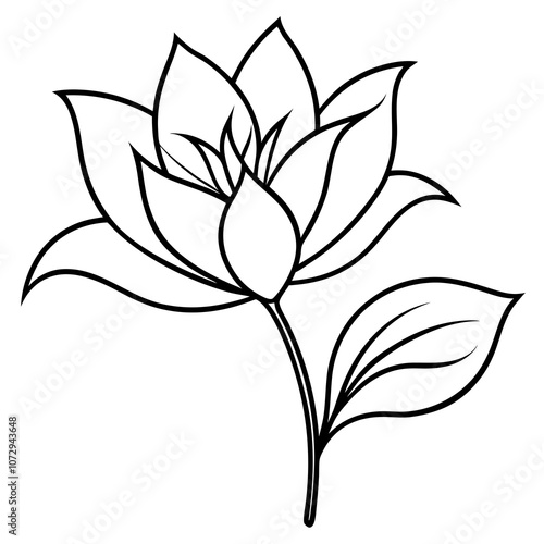 Elegant Botanical Line Art – A sleek vector design featuring delicate black lines to portray flowers