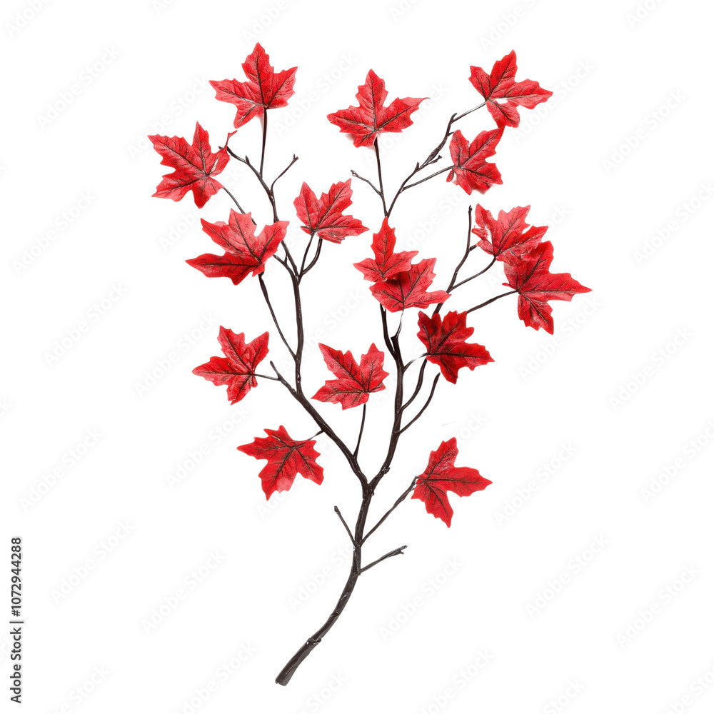 A vibrant branch adorned with striking red leaves, capturing the beauty of autumn. Perfect for enhancing nature-themed designs and seasonal projects. A vibrant branch adorned with striking red leaves, capturing the beauty of autumn. Perfect for enhancing nature-themed designs and seasonal projects.