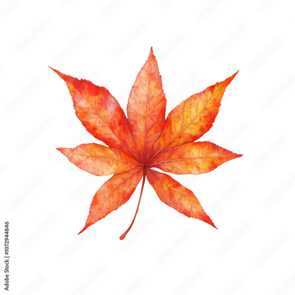 A vibrant orange maple leaf showcasing intricate details and patterns, perfect for seasonal themes and nature-inspired designs. Captivating autumn beauty. A vibrant orange maple leaf showcasing intricate details and patterns, perfect for seasonal themes and nature-inspired designs. Captivating autumn beauty.
