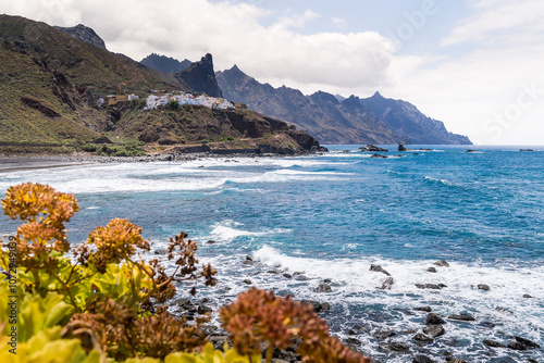 Beautiful coast with cliffs and flowers