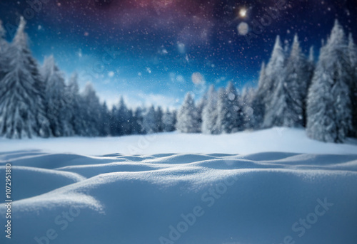 A snowy forest scene with tall evergreen trees under a starry sky.