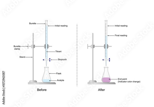 Titration procedure. Titrant in a burette and analyte in a conical flask, scientific experiment in the laboratory. Scientific vector illustration.	
