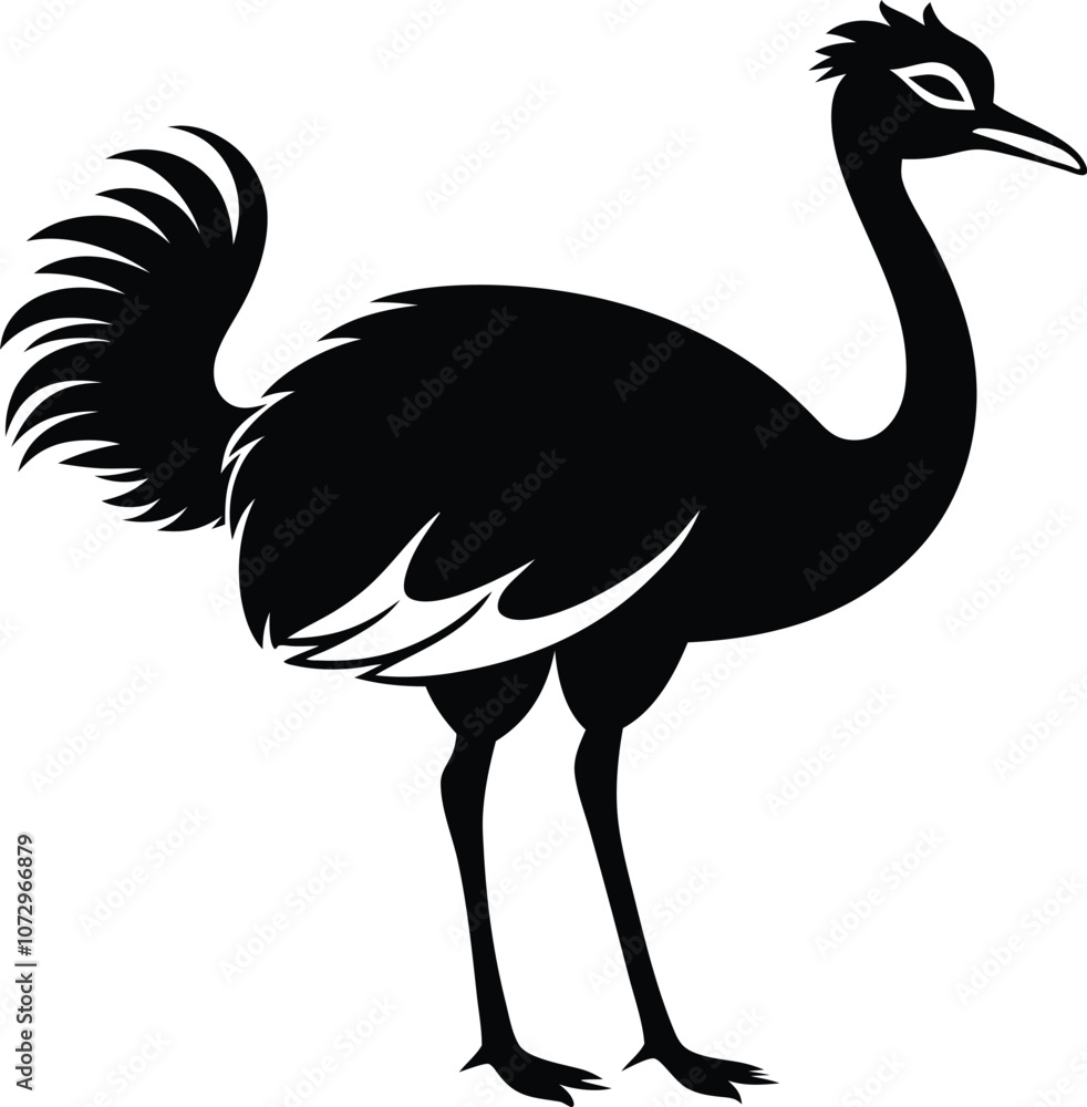 Obraz premium Ostriche bird Silhouette, Emu silhouette vector illustration